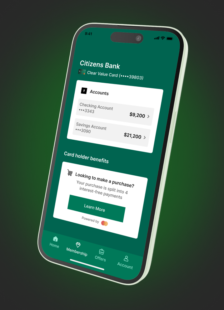 Citizens case frame 1